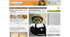 Desktop Screenshot of buyukkeyif.com